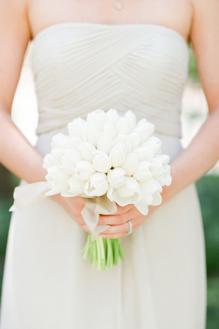 White tulips