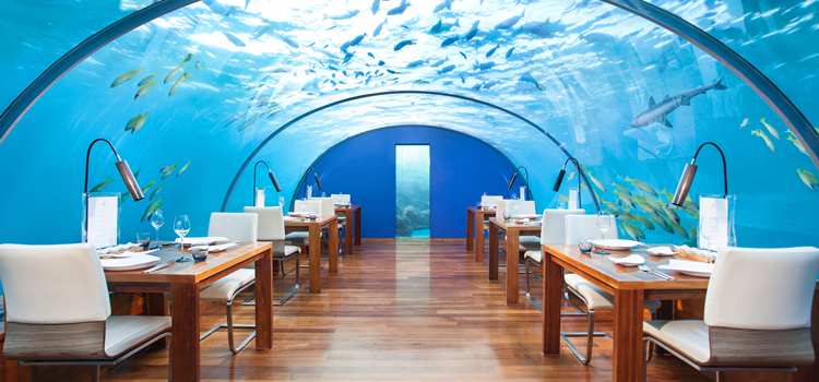 Honeymoon - Ithaa Undersea Restaurant