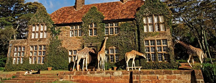 Giraffe Manor honeymoon