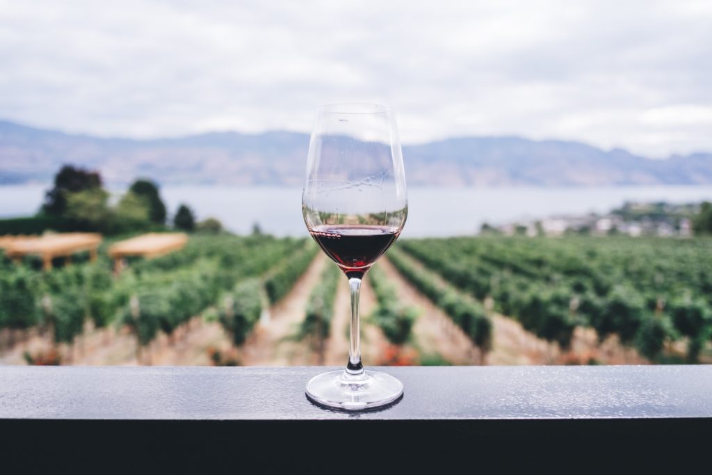 A glass of red wine in a clear wine glass sat on a balcony overlooking a vineyard backed by a mountain range